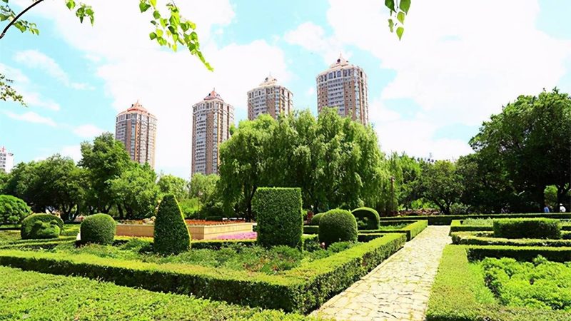 苗木种植技术视频教程：揭秘专业施工流程
