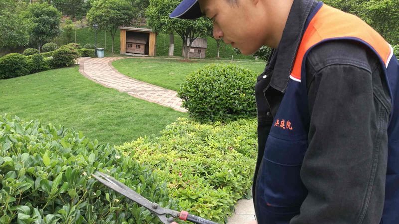 绿化防寒材料：如何选择合适的厂家？**