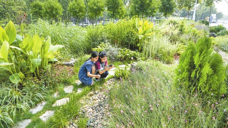 别墅庭院绿化石材选材，如何兼顾美观与实用？**