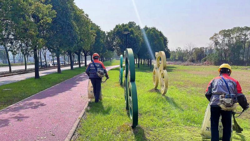 老旧小区绿化改造报价