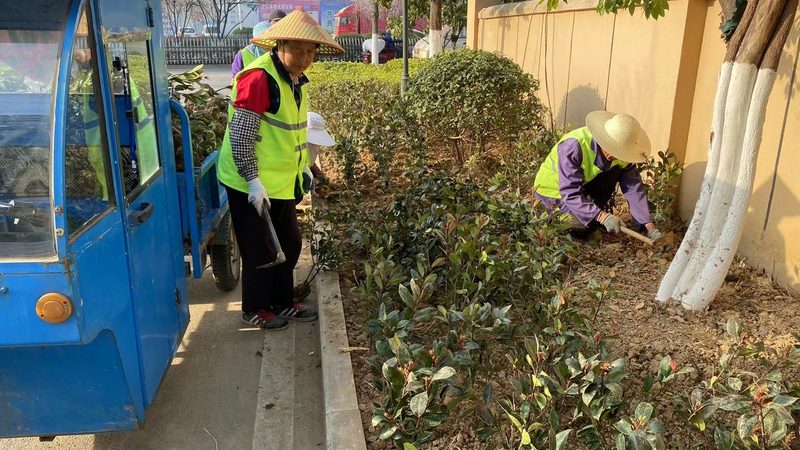 园林绿化资质甲级与乙级：参数对比解析**