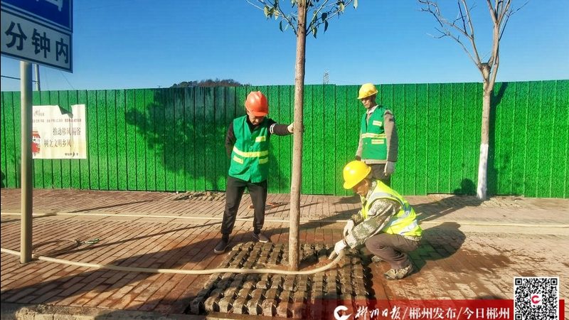 市政绿化设计施工合同范本：关键要素与注意事项**