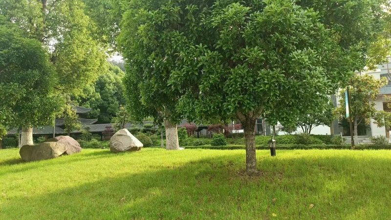 高端住宅绿化工程：报价背后的考量因素**