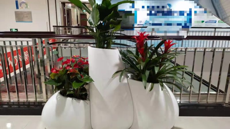 垂直绿化植物墙每平米造价，你了解多少？**