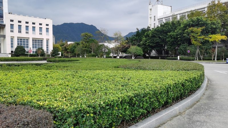 道路绿化喷灌系统：如何合理选型与定价