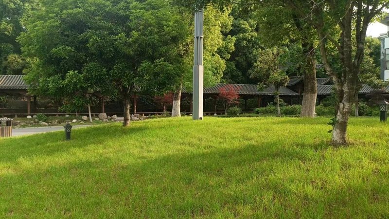 小区绿化植物配置：如何打造宜居生态空间**